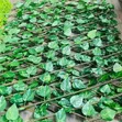 Instant Green Leaf Skrini Bandia ya Faragha - 2