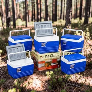 Lightweight 4.5L Portable Cooler Box Ice Box
