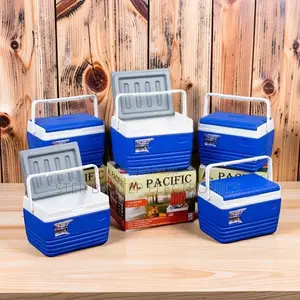 Food-Safe 4.5L Portable Cooler Box Ice Box