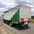 Isuzu FRR 90 Truck - 3