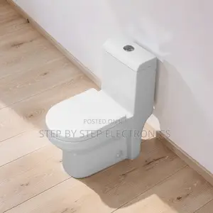 Sawa One Piece Dual Flush Toilet Seat