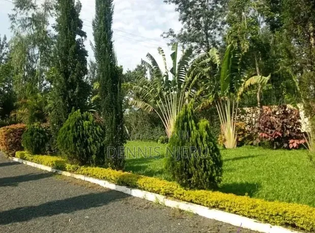 Green Scape Landscaper - 1