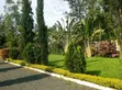 Green Scape Landscaper - 1