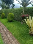 Green Scape Landscaper - 5
