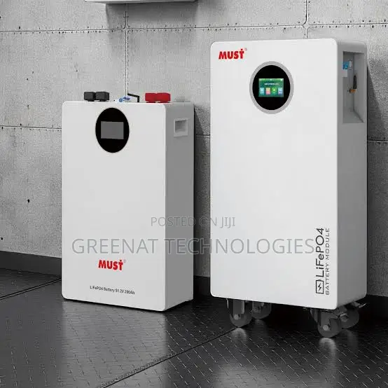 MUST 15.36kWh 48V 300Ah LiFePO4 Battery, 6000 Cycles - 1