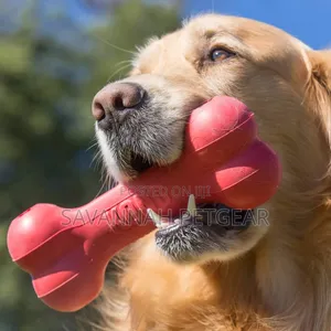 KONG Goodie Bone Dog Toy (Large, 13kg-30kg)