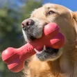 KONG Goodie Bone Dog Toy (Large, 13kg-30kg) - 1