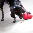 KONG Wobbler Interactive Treat Dispensing Dog Toy - Large - 1
