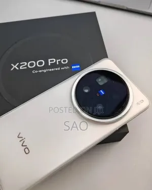 Vivo X200 Pro 512GB Silver