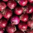 Onions Available - 100 Tonnes - 1