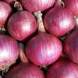 Onions Available - 100 Tonnes - 2
