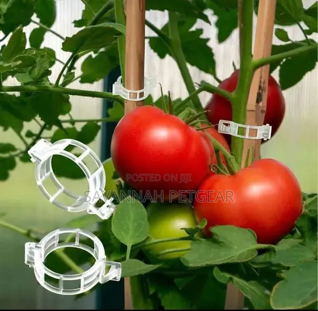 Plastic Tomato Clips for Trellis Support - 1