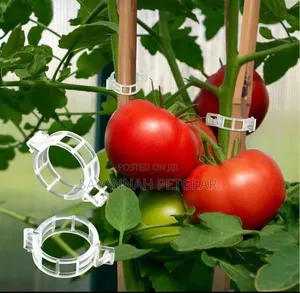Plastic Tomato Clips for Trellis Support