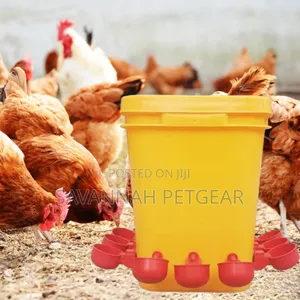 Multi-Purpose Automatic Cup Drinkers with Buckets for Poultry
