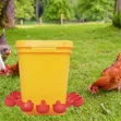 Multi-Purpose Automatic Cup Drinkers with Buckets for Poultry - 4