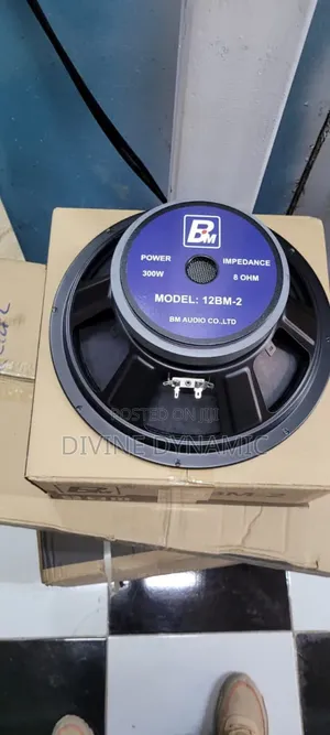 BM Audio 12BM-2 12-Inch 300W Naked Speaker
