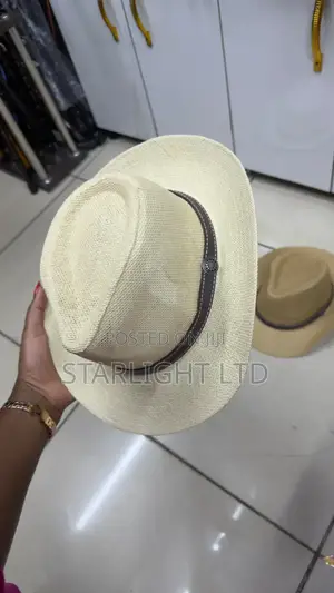 Stylish Men's Panama Hat