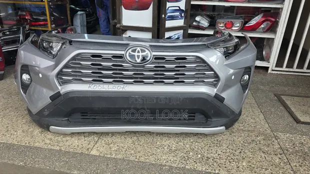 Toyota RAV4 2019 Xenon Nosecut - 1
