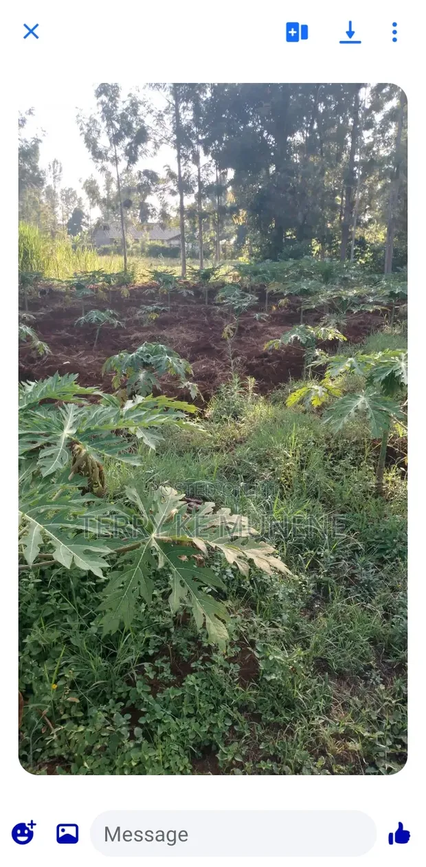Fertile Land for Sale in Thiba - 1