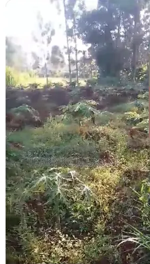 Fertile Land for Sale in Thiba