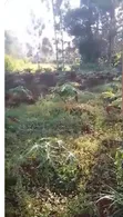 Fertile Land for Sale in Thiba - 2