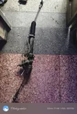 Toyota 110/100 Steering Rack (Used) - 3