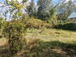 Prime Land for Sale - Ololua, Ngong (1/8 Acre)