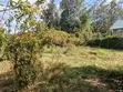 Prime Land for Sale - Ololua, Ngong (1/8 Acre) - 1