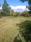 Prime Land for Sale - Ololua, Ngong (1/8 Acre) - 2