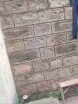 Bungalow ya Vyumba 4 na Duka Umoja 2 Inauzwa - 1