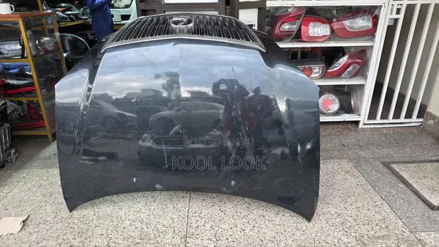 Lexus RX 240 Bonnet (Ex-Japan) - 1