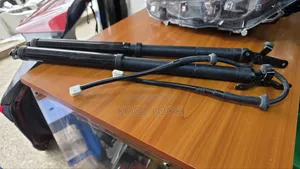 Toyota RAV4 2019 Electric Boot Shocks Set (Ex-Japan)