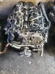 Isuzu 4P10 Complete Engine - 1