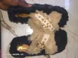 Full Love Viatu vya Sandal Manyoya - Saizi ya Wanawake 40 - 2