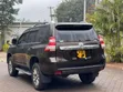 Toyota Land Cruiser Prado 2017 Brown - 5