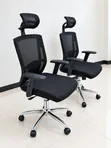 Executive Ergonomic Mesh Office Chair with Headrest - 2