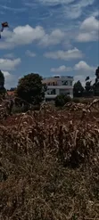 Prime 50x100 Plot in Kikuyu Gikambura - 4