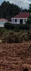 Prime 50x100 Plot in Kikuyu Gikambura - 5
