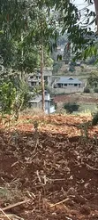 50x100 Prime Plot in Lusingetti, Thogoto - 3