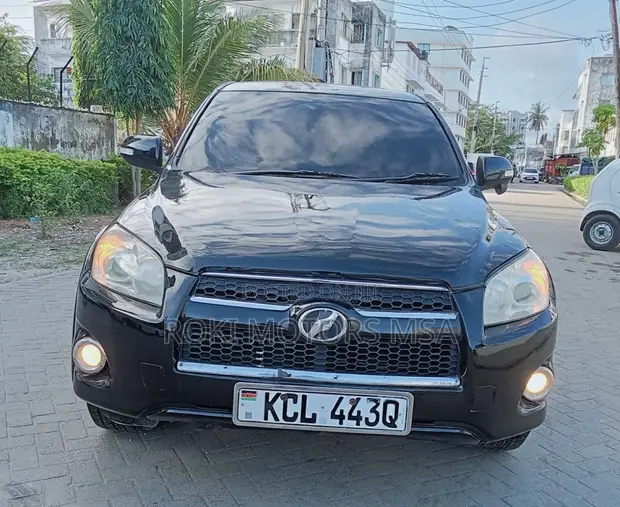 Toyota RAV4 2010 Black - 1