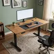 1.2m Electric Adjustable Desk - Brand New - 2