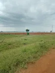 Land for Sale near Kitale-Bungoma Highway - 2