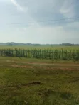 Land for Sale near Kitale-Bungoma Highway - 4