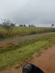 Land for Sale near Kitale-Bungoma Highway - 5