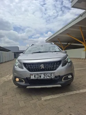 Peugeot 2008 Cross City 2019 Gray