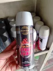 High Temperature Spray Paint - 1