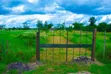 Affordable Jujafarm Plots for Sale in Murera - 2