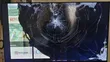 TCL 43" TV - Broken Screen - 5