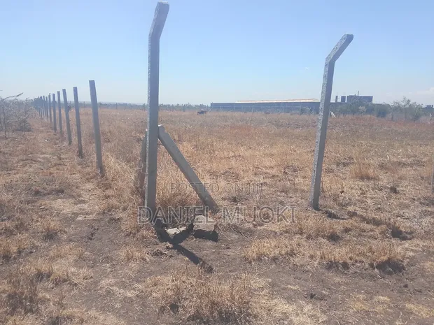 100x100 Plot for Sale in Ruai - 1