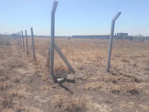 100x100 Plot for Sale in Ruai